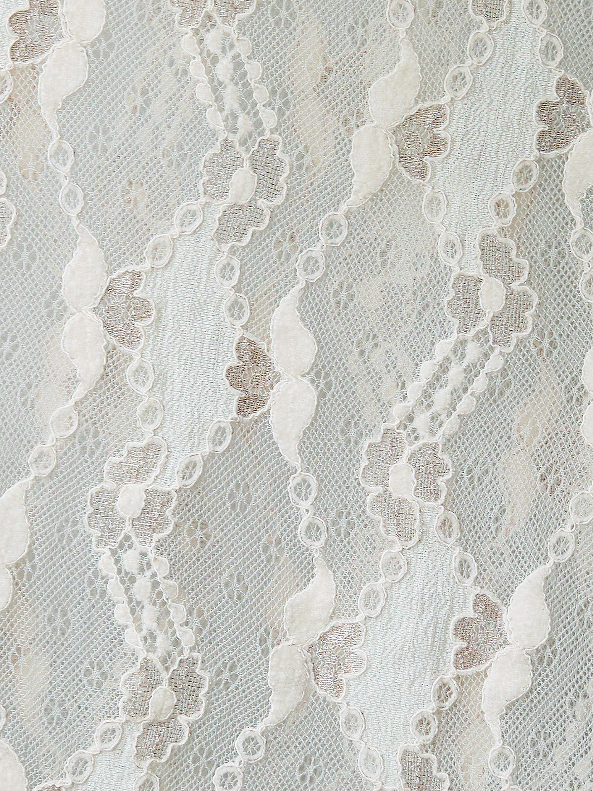 Principal Dancer elbise yakın plan, ekru dantel kumaş dokusu ve transparan yapı, WAYT